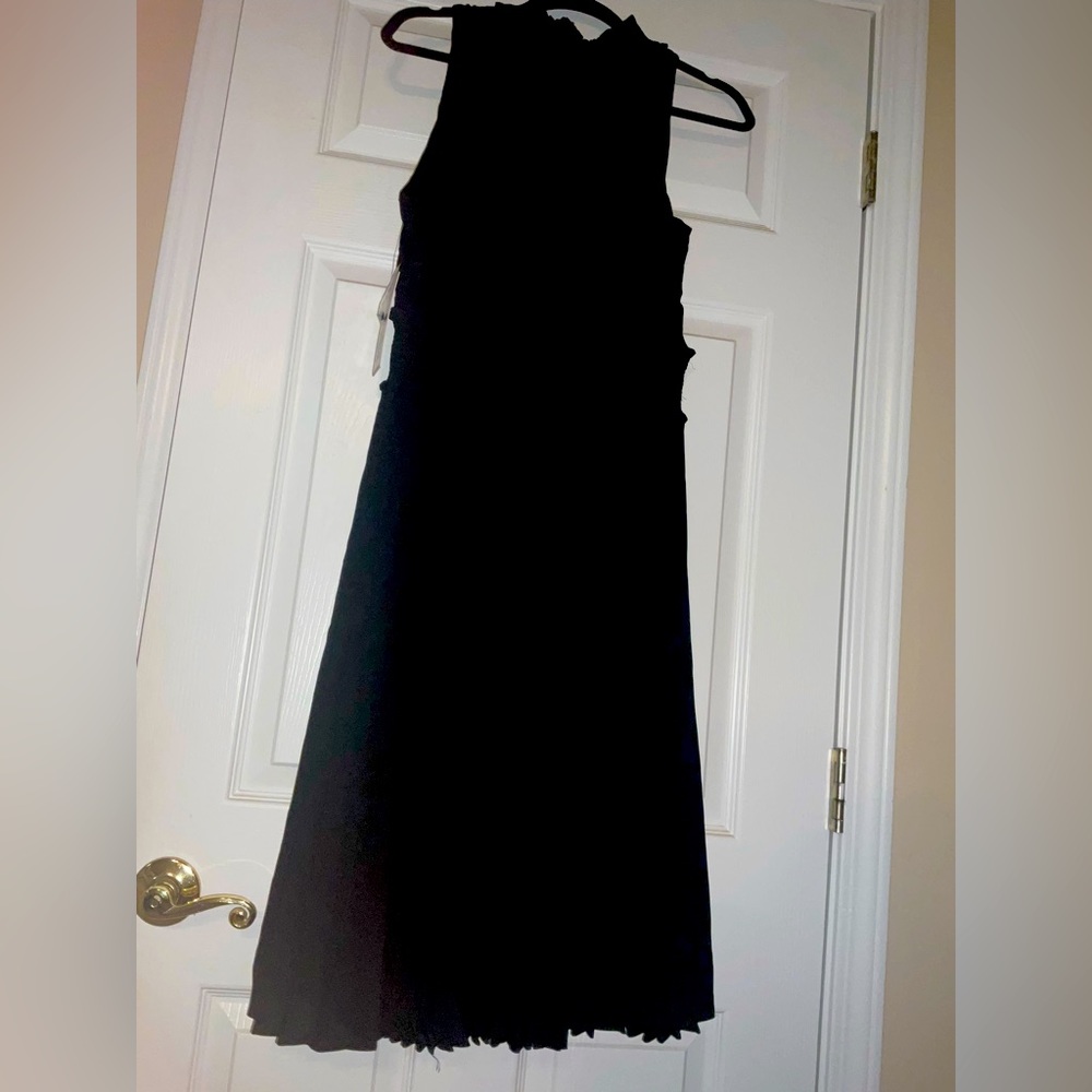 Luxurious sleeveless with pleats black dress.